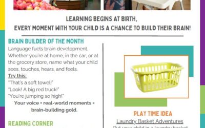 Quick Brain Boosters